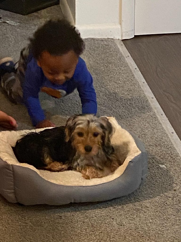 He is awesome! Review