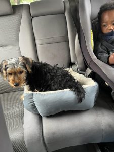 He is awesome! Review