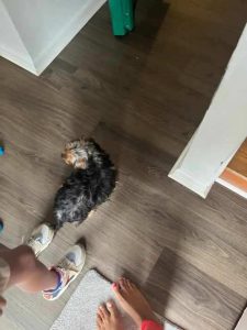 He is awesome! Review